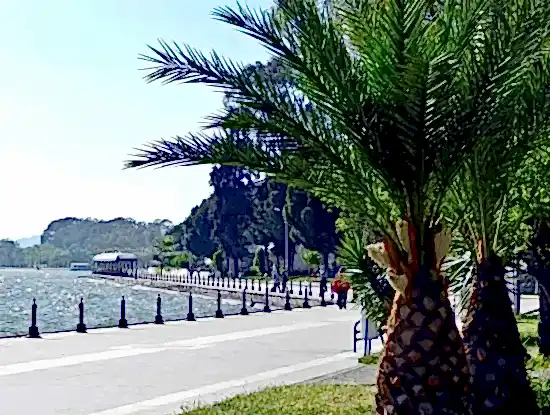 Köyceğiz Hakkında