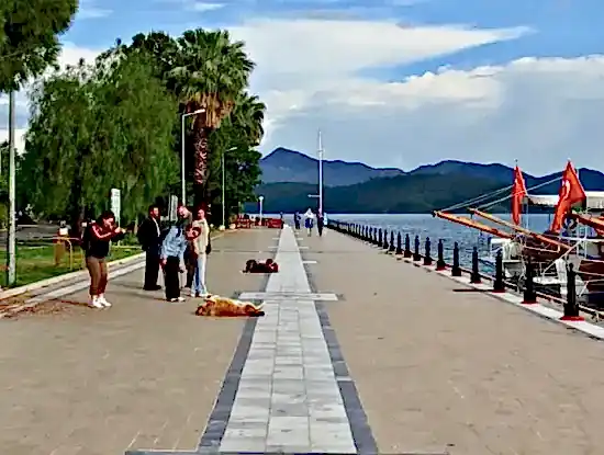 Köyceğiz Fotoğrafları