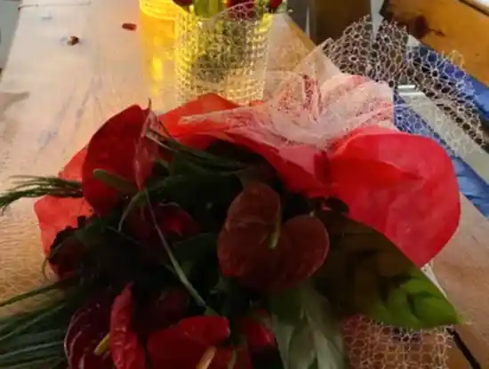 Köyceğiz Fotoğrafları