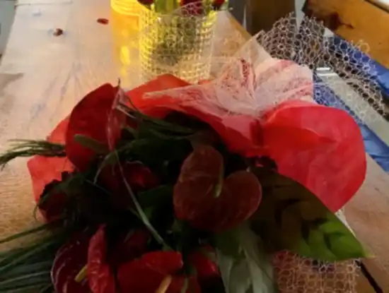 Köyceğiz Aktiviteleri