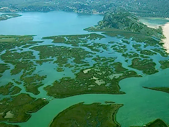 Köyceğiz Tekne Turu